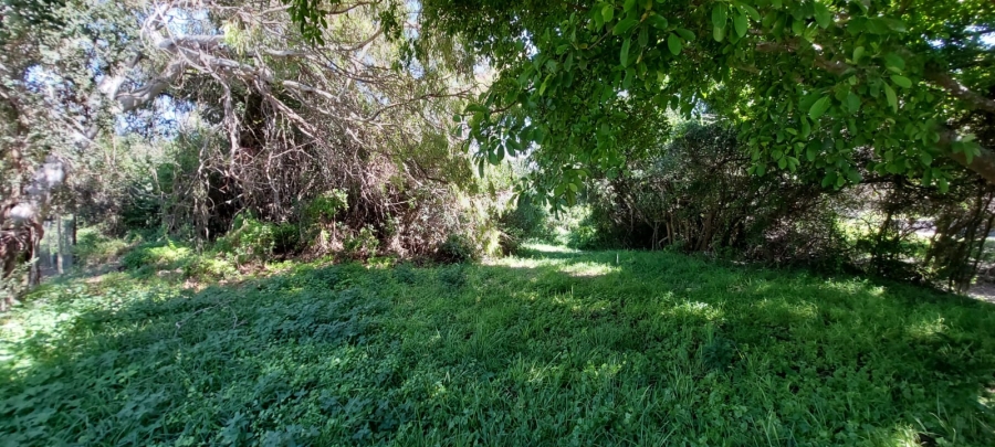 Commercial Property for Sale in Gamtoos Mouth Eastern Cape